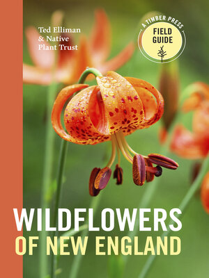 cover image of Wildflowers of New England